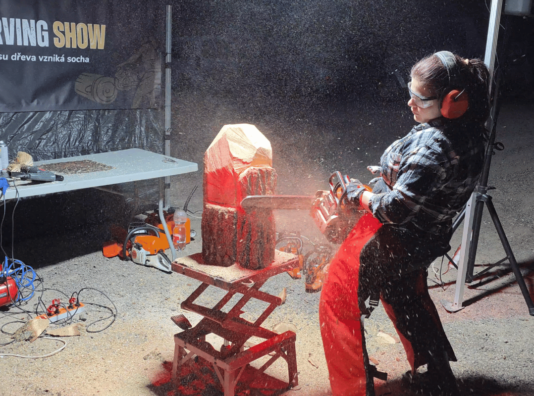 Speedcarving show
